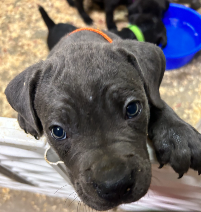 screenshot 2025 12 02 190909