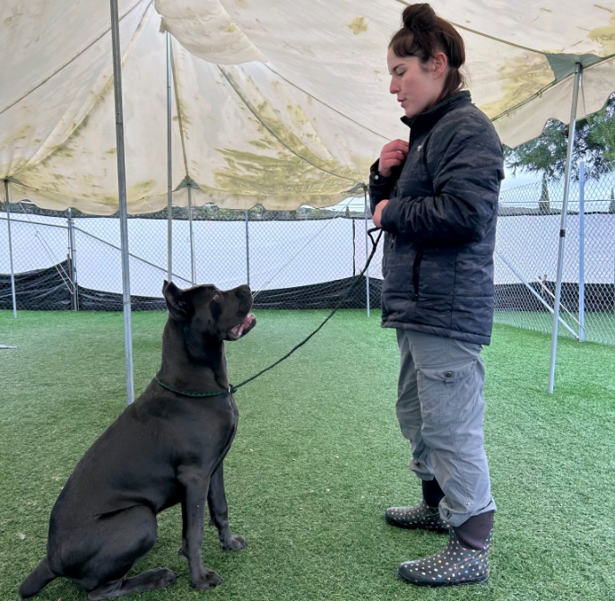 screenshot 2025 12 02 192028